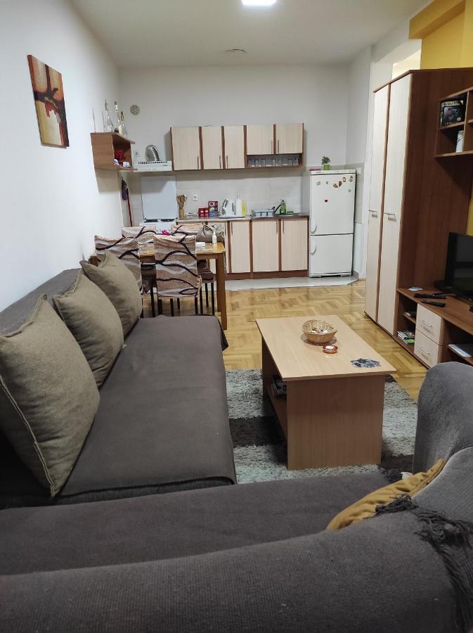 Apartman Marina Sa Garazom Νόβι Σαντ Εξωτερικό φωτογραφία