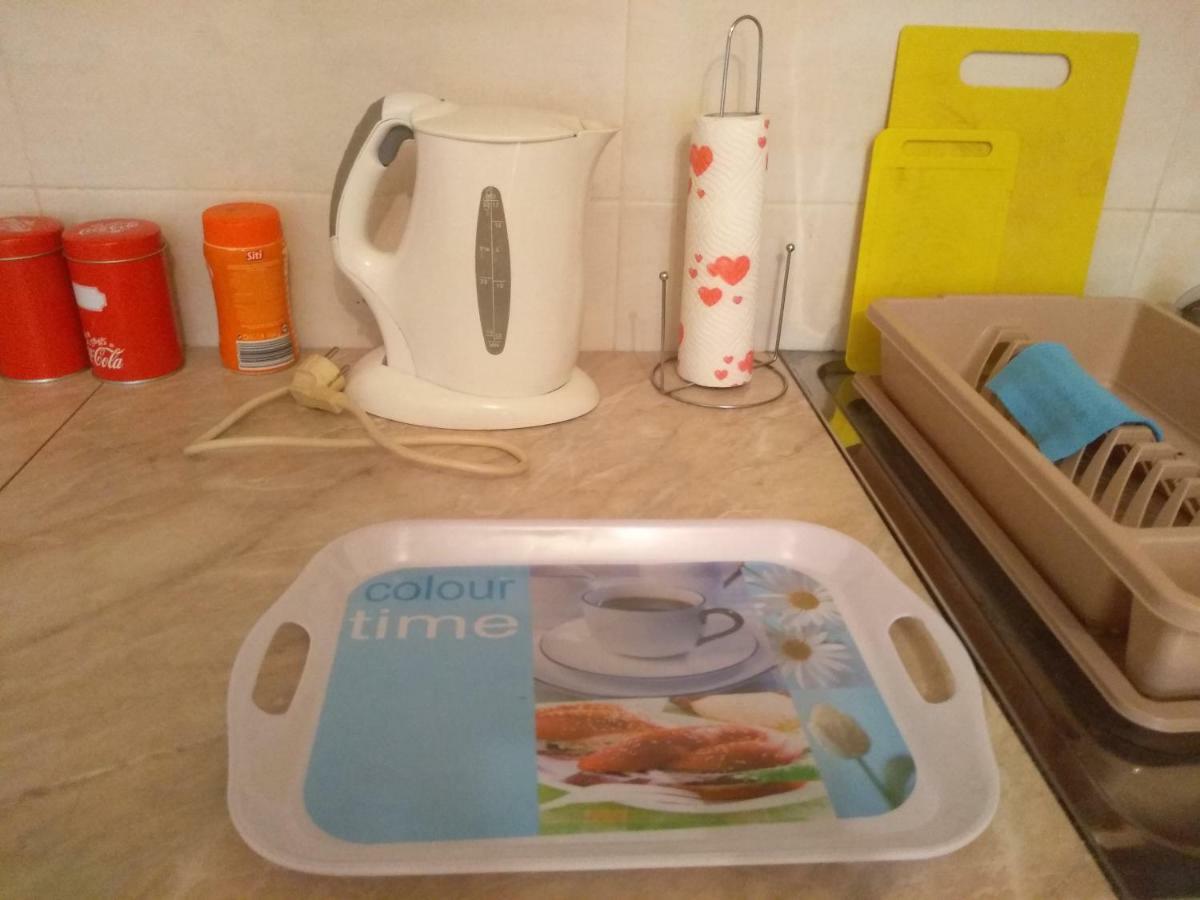 Apartman Marina Sa Garazom Νόβι Σαντ Εξωτερικό φωτογραφία