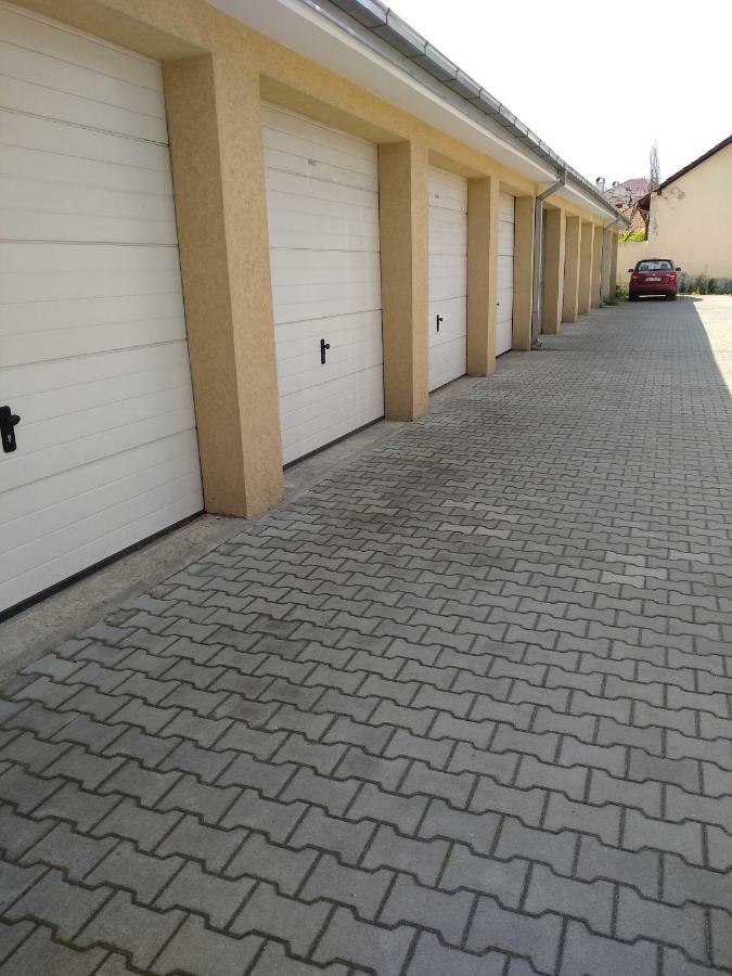 Apartman Marina Sa Garazom Νόβι Σαντ Εξωτερικό φωτογραφία