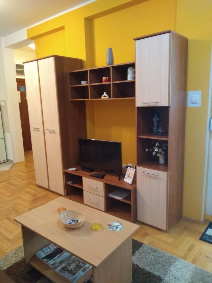 Apartman Marina Sa Garazom Νόβι Σαντ Εξωτερικό φωτογραφία